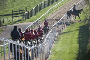 96E0110 Dan Skelton Stables Scene
