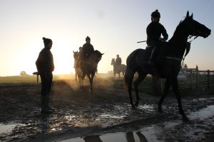 B96E0081 Fergal O’Brien