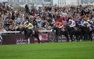 DSC 0340 Sea The Stars