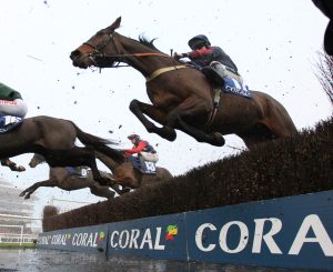 EN4D3444 Datsalrightgino