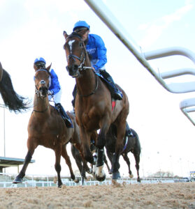 EN4D8957 Military Order