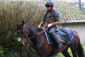 X5B3473 Constitution Hill