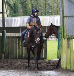 X5B3537 Constitution Hill