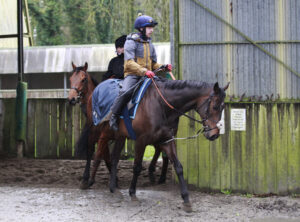 X5B3540 Constitution Hill