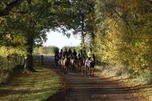 X5B5197 D J Jeffrey’s string