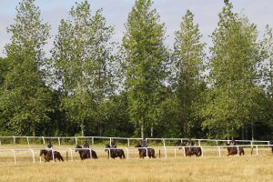 X5B7352 Olly Murphy Stables Scene