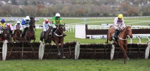 X5B9304 Iberico Lord