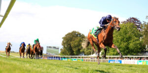 16B2623 City Of Troy