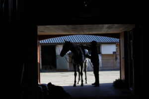 16B3284 Dan Skelton stable