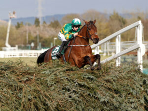 16B3562 Minella Times