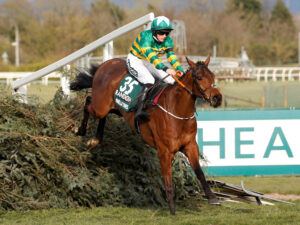 16B3565 Minella Times