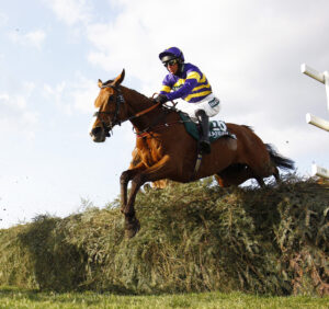 16B8095 Corach Rambler