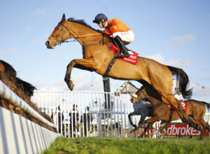 16B8366 Bravemansgame