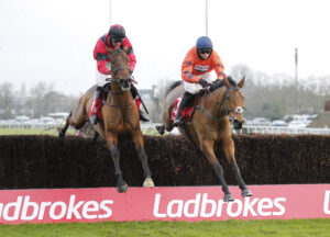 20J0111 Ahoy Senor   Bravemansgame