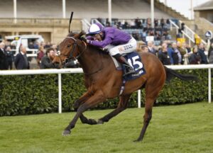 20J0932 Mr Professor