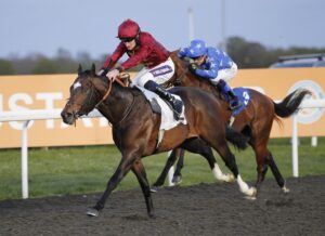 20J3201 Jubilee Walk