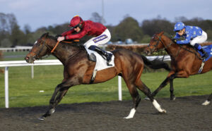 20J3210 Jubilee Walk