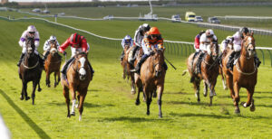 20J3259 Hafeet Alain