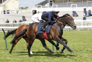 20J3306 Night Raider