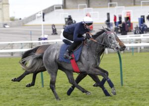 20J3448 Fallen Angel