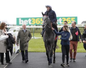 20J3460 Fallen Angel