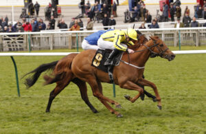 20J3703 Pretty Crystal