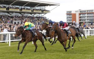 20J5215 Metal Merchant