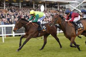 20J5219 Metal Merchant