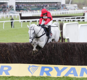 20J7824 Grey Dawning