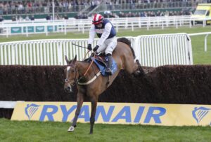 20J8317 Shakem Up’Arry