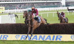 20J8329 Life In The Park