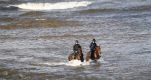 20J9488 Kitty’s Light [right]