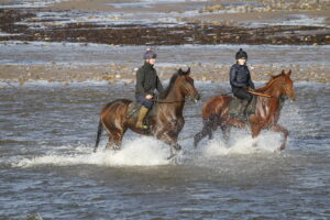 20J9497 Kitty’s Light [right]