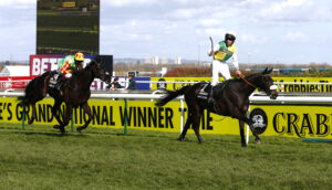 20Y1168 Many Clouds