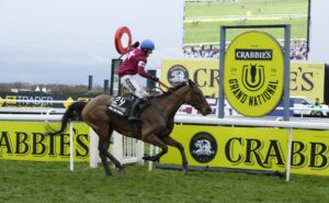 20Y3287 Rule The World