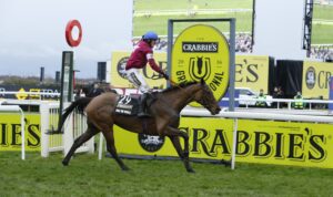 20Y3288 Rule The World