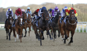 78F1198 Talis Evolvere