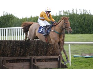 78F1393 Fenland Tiger