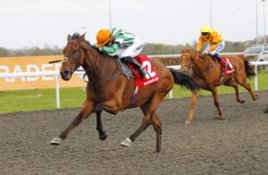 78F1497 Duty Of Care