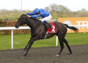 78F1535 Devoted Queen