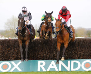 78F1850 Gerri Colombe