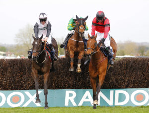 78F1851 Gerri Colombe