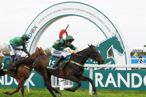 78F2514 Arizona Cardinal