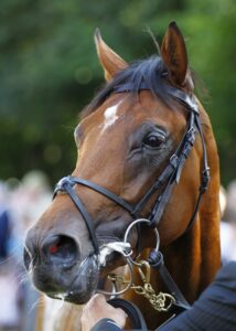 78F8331 City Of Troy