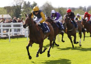 78F9143 Golden Paradise