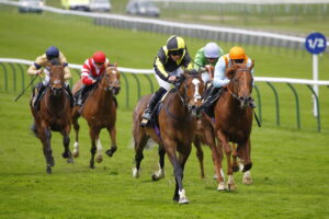 78F9701 Watcha Matey