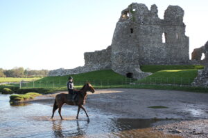 BK1A0478 Kitty’s Light