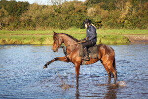 BK1A0494 Kitty’s Light