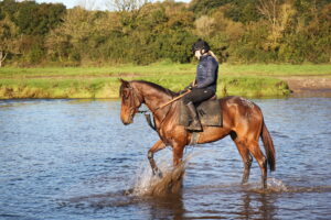 BK1A0498 Kitty’s Light