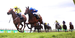 BK1A9184 Pretty Crystal